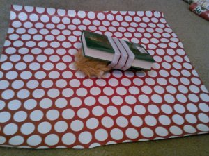 Then, it was face down onto the paper for our favorite Middle Earthling.