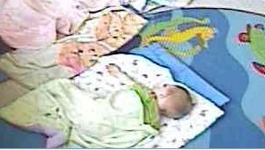 Thor, napping at daycare as a baby, happy as a little clam.